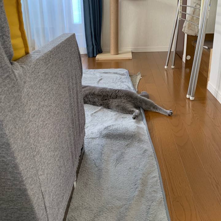 02b03702 7cb0 4278 8a78 ac655efb0efe 1650847284724