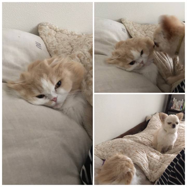 02b05f0e 7e33 4d3f 96c7 d5ccebba51a2 1595032227687