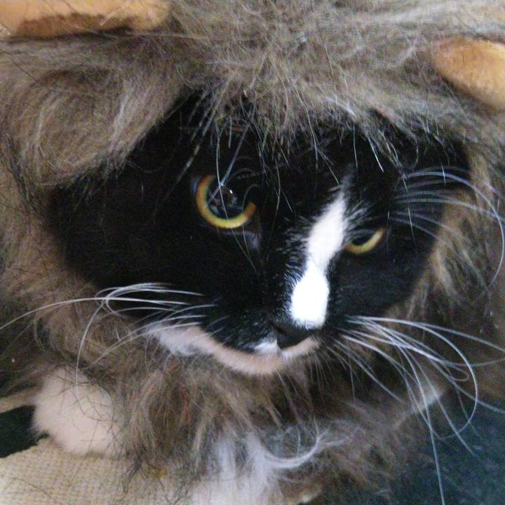 02b085e4 ff1e 486a bd21 c3daa314ecfd 1663673450859