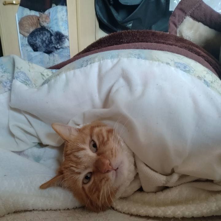 02b0c1d6 1af6 457b be3f 771807a8d9df 1707453651397