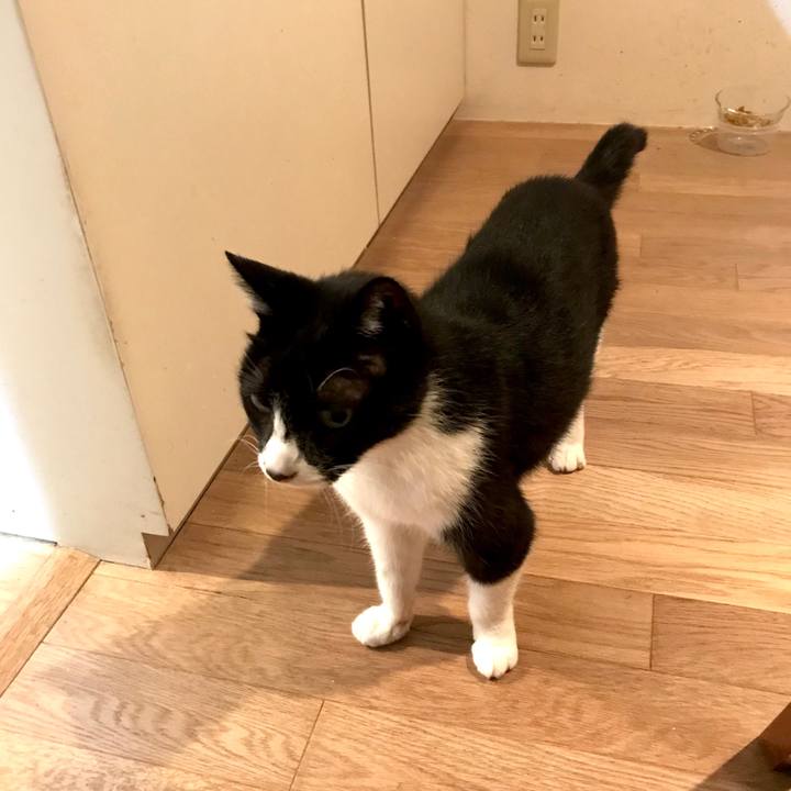 02b0ecdc 3afb 4932 8d48 3779467e180a 1522748374117