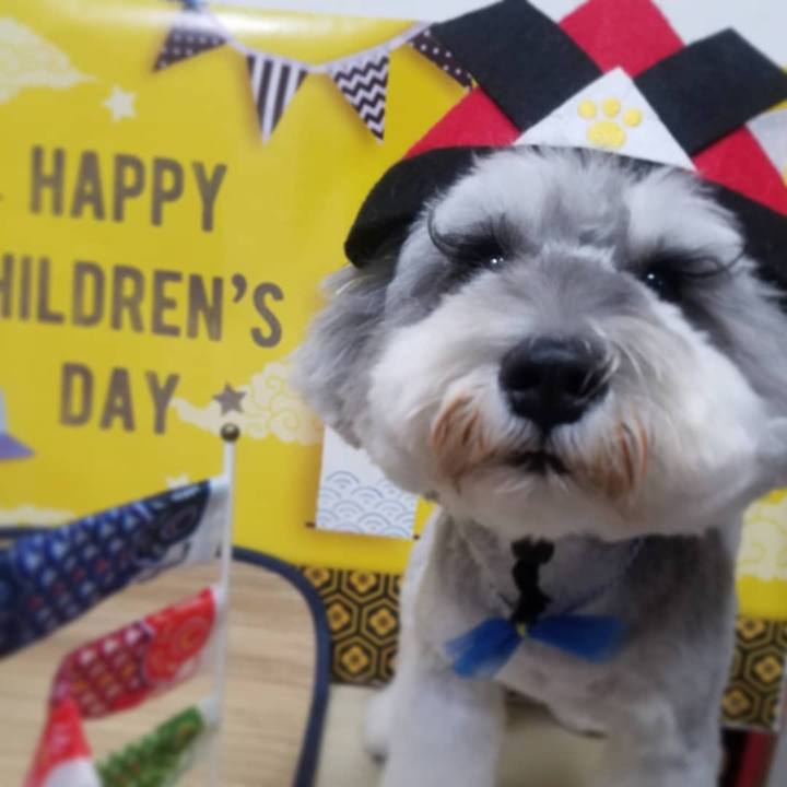 02b0ecf2 62cc 44e2 82b4 5447c69755f3 1620309663981