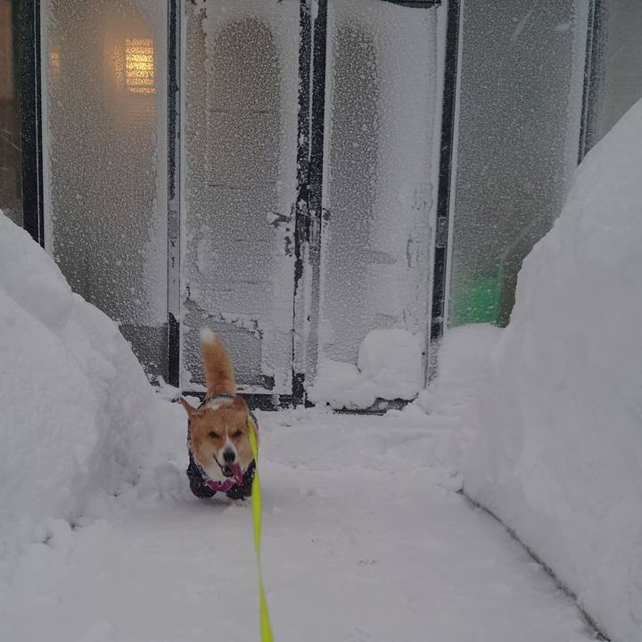 02b10a72 c5bf 4cad 83de 744afb96ecb2 1771462114958