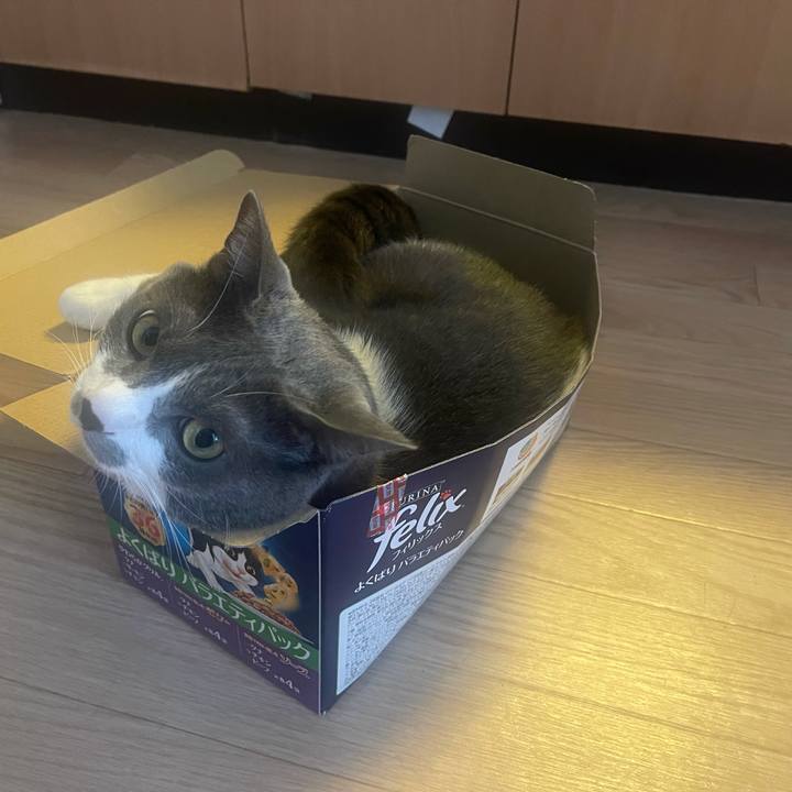 02b122d7 c68f 4c4a 970d b3bcf5a26462 1633931962727