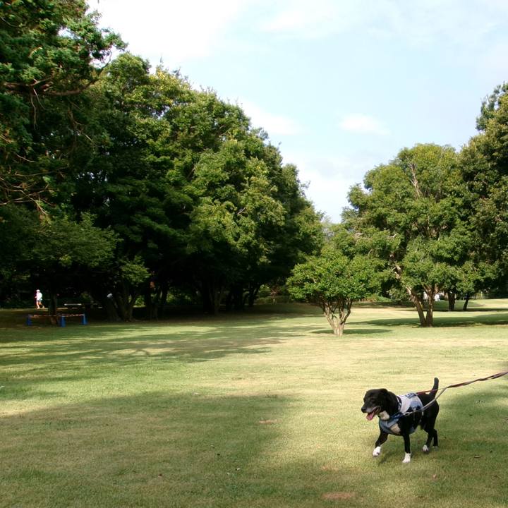 02b12567 030d 491a 8eec 73f5fc6b97ca 1754701075624