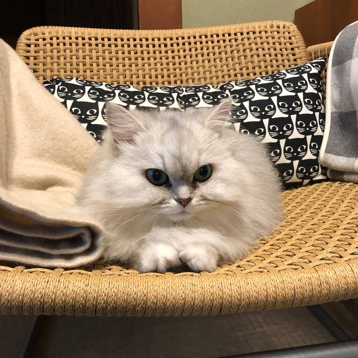 02b13755 aa96 4601 bd62 7d3c6d209d93 1619090288028