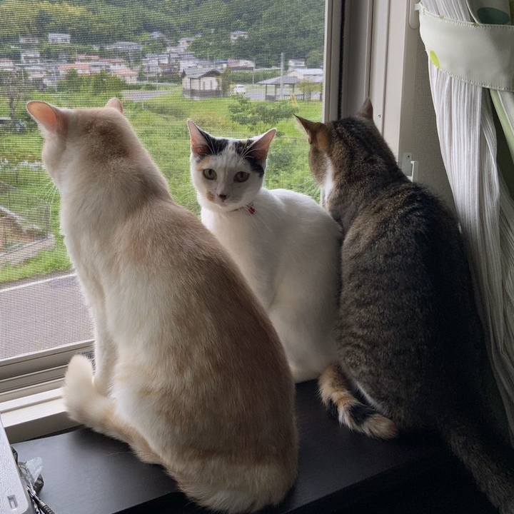 02b142af 6f2a 4b73 8500 1181a376b823 1724803309666