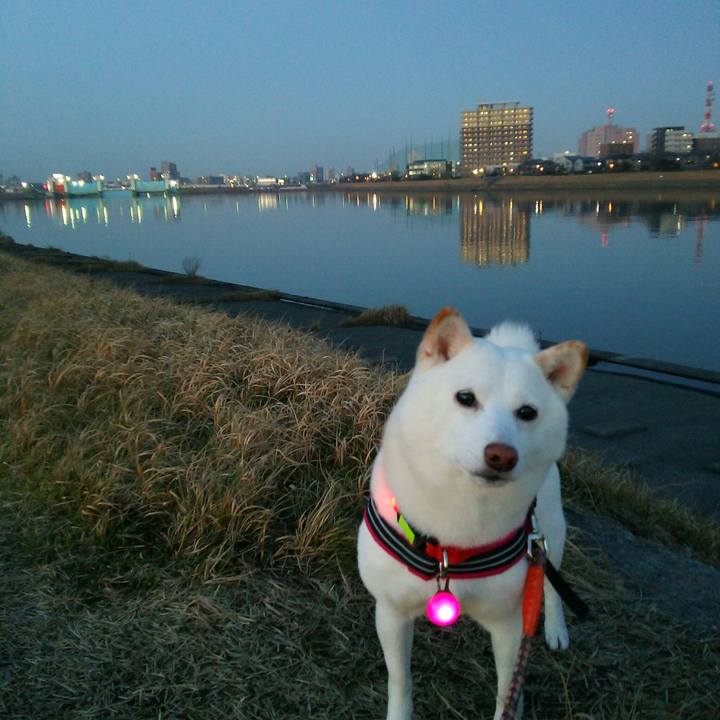 02b142c9 dc1e 4c89 9c76 421063081869 1549445069241