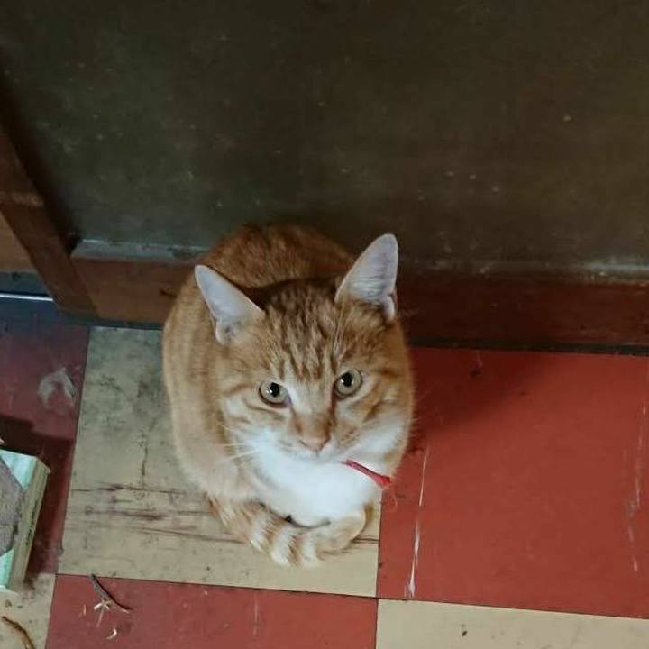 02b1aee8 e1ad 4cf0 847c ec9085a694d9 1574423277689