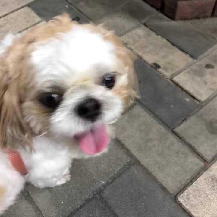 02b1b7e2 a548 4788 bbbd 002946108535 1533432086828