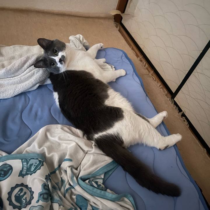 02b1ca95 690c 4730 9e3b 5e75babc2806 1723159108683