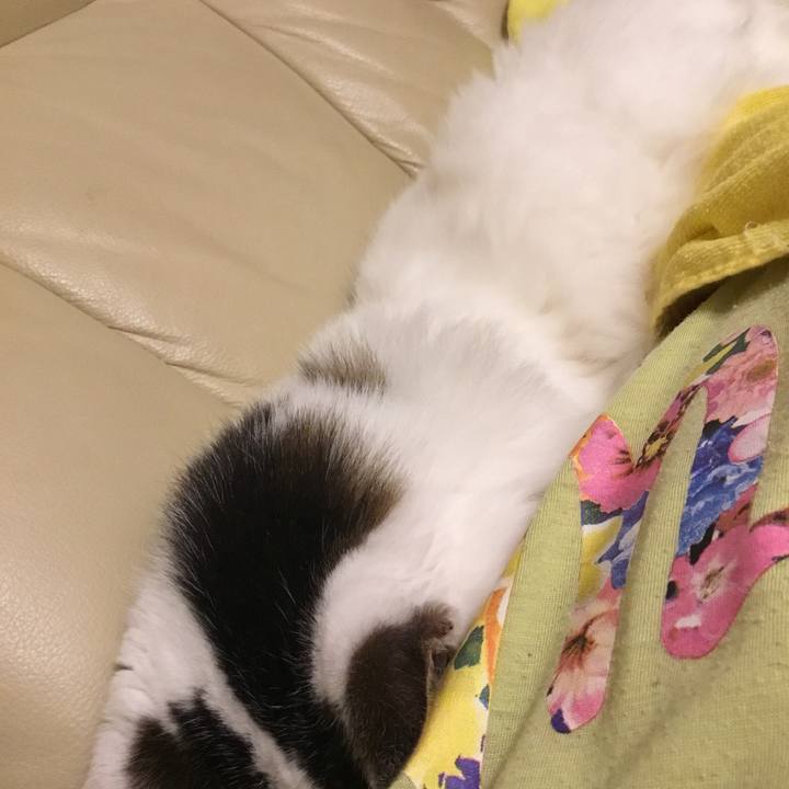 02b1cacf 01ca 423f 9a82 aee4a08221bc 1573292904971