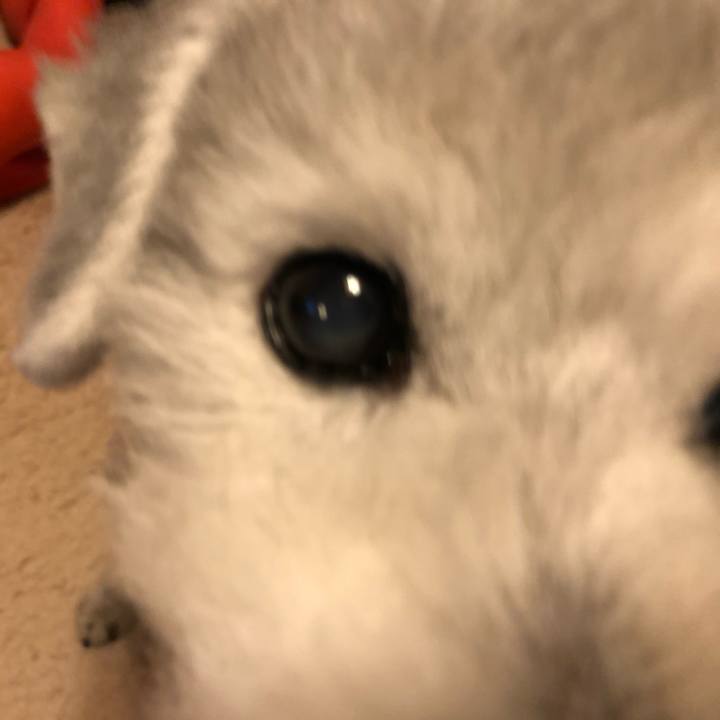 02b1d7b0 d860 45d3 a75e 0c1701e6168d 1589285840752