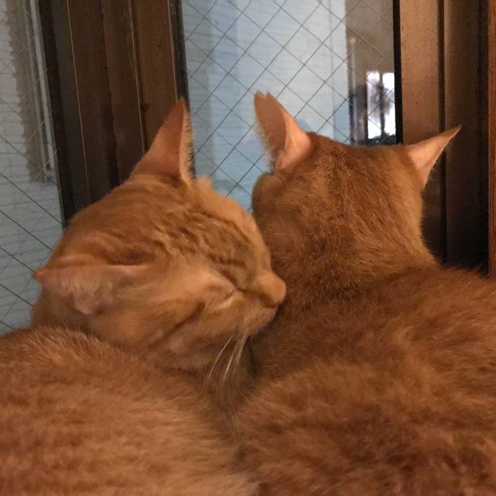 02b1f203 46c2 4001 894f b6d4a712b5b9 1590493331569