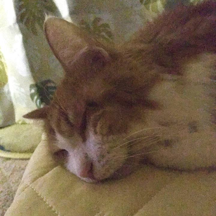 02b2199b c27f 4ac2 a2dd 8318b2f4c5c8 1571930905015