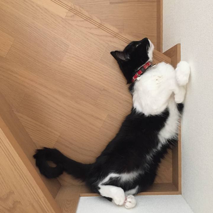 02b22c45 15c6 49d2 b44a 1bdcc1c21938 1538189026444