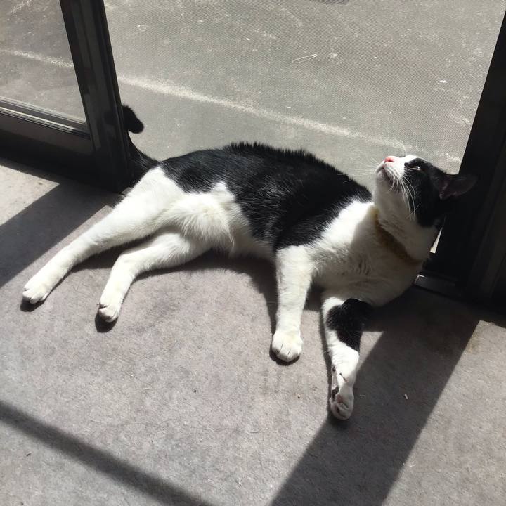 02b2356a 52c1 4a2b b06c 5e471459d6d0 1649217607721