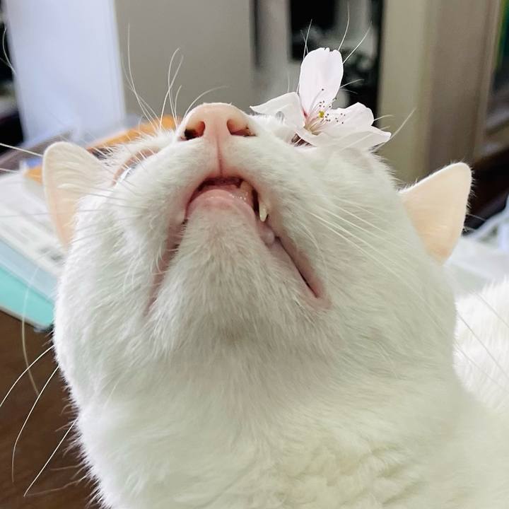 02b25af5 060d 4148 aa63 f3f47b85b9af 1775108105601