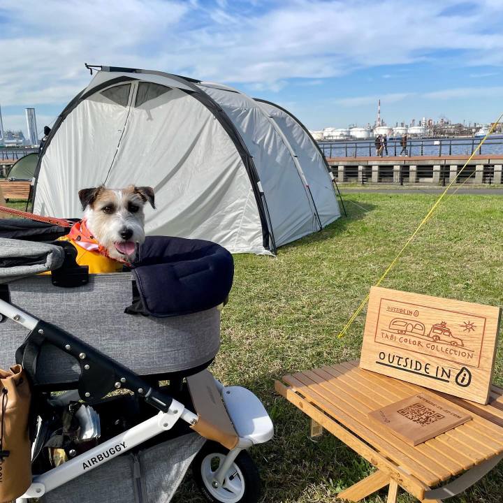 02b303e0 2e94 403a 84a4 663bb1bb2b43 1667122309486