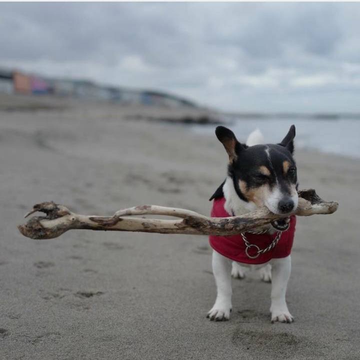 02b30daf 5c2f 46ba ae5d 8da882a00f28 1767829654677