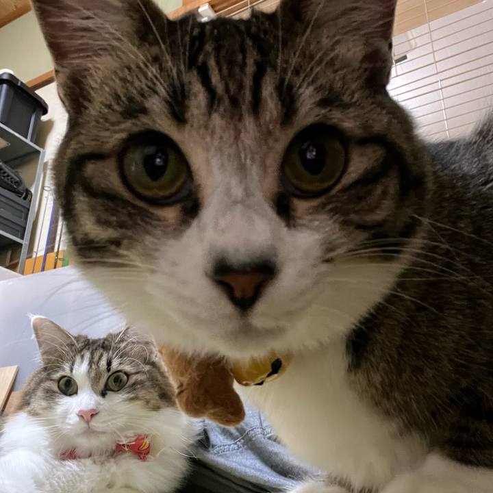 02b3183c 21f8 41b3 8bbd fac7e1c7cdb3 1721976355848