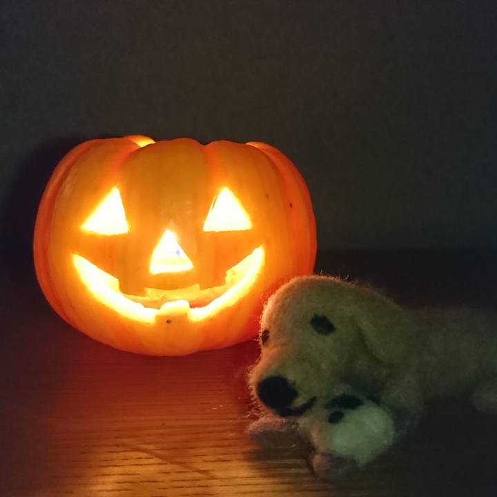 02b318dc 3fba 4295 b36e 4ca3cc7f34d6 1540228774924