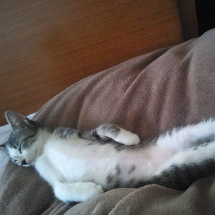 02b31b90 c6b8 46c2 99c8 546ee19d64ca 1641422271530