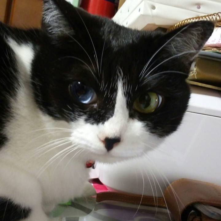 02b34ef8 3f26 4358 a75f 9f1aa4b5d4c4 1529056874672