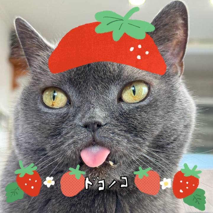 02b36243 8d2c 43bd b826 29820518a792 1775263270076