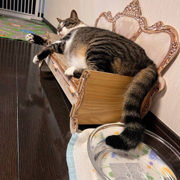 02b39bca ba60 43f9 8cb5 953689581d4d 1756732599290