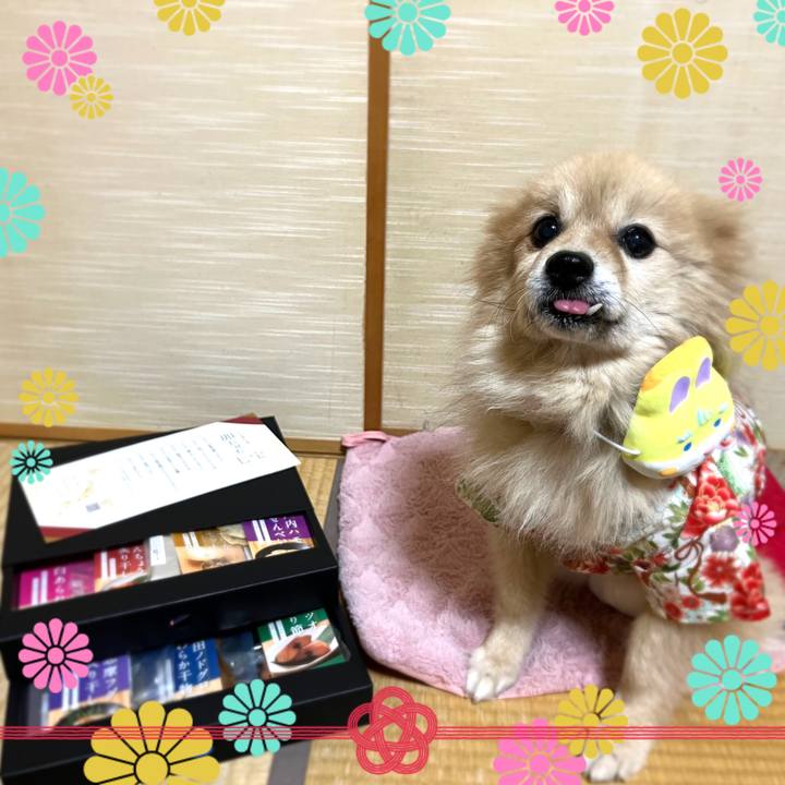 02b3c3d3 bb7d 4909 9741 93c043c9c525 1673179953072