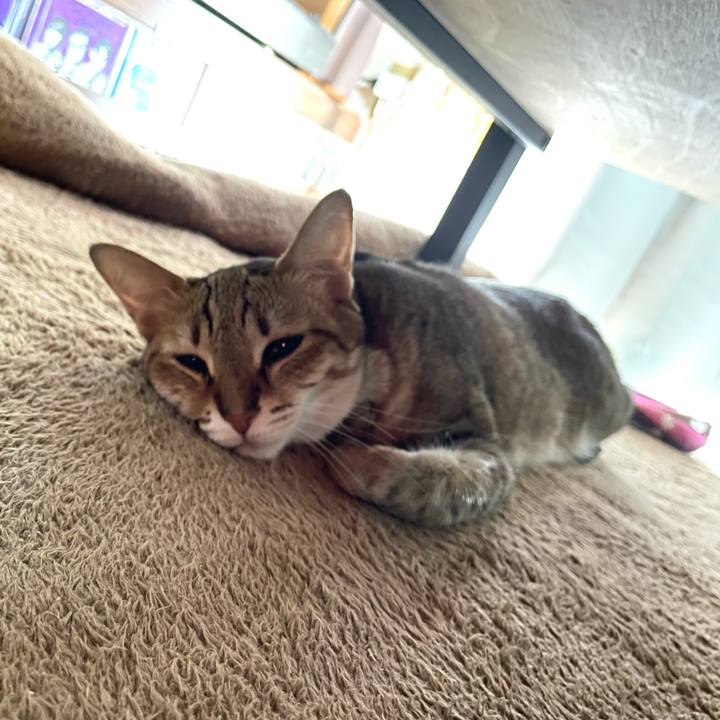 02b4024a fa7e 44cf bfbd 692255d09907 1672805094688