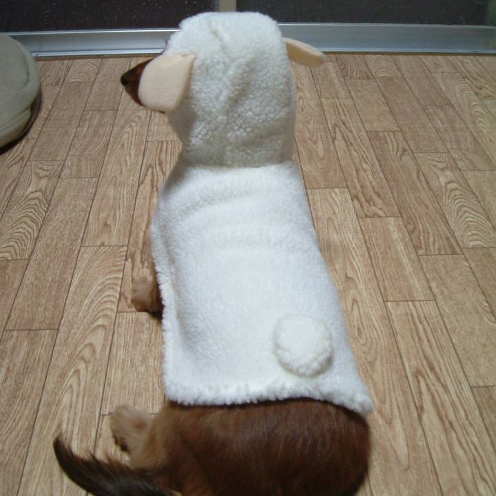 02b40d52 63e1 412a 8053 d25c235a335e 1540954206633