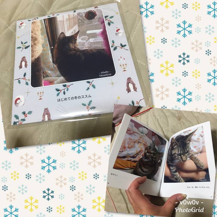 02b41b25 fd52 4c3e 9eaa e82b96aa060f 1545838464358