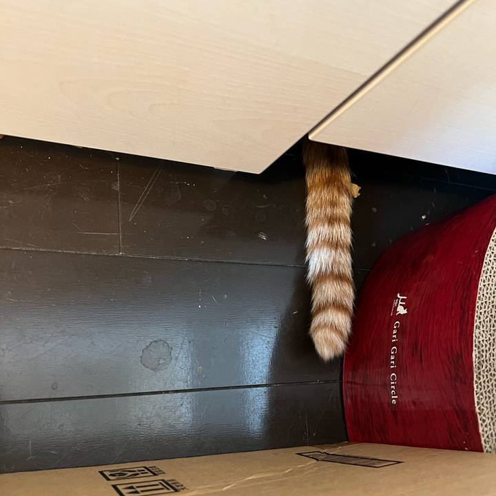 02b49e73 5977 4683 8365 1590aebf72df 1646855460391