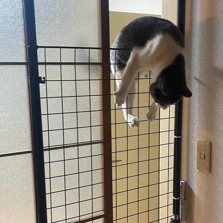 02b4d041 3afe 476a 830b 67856b780658 1624615187769