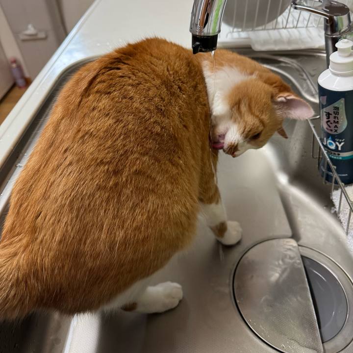 02b5306c 08f9 4294 83d6 efef87c0d759 1762045245755