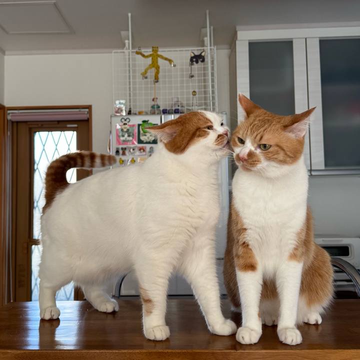 02b556f5 2115 4832 bc7f 4e16450c7999 1767581878486