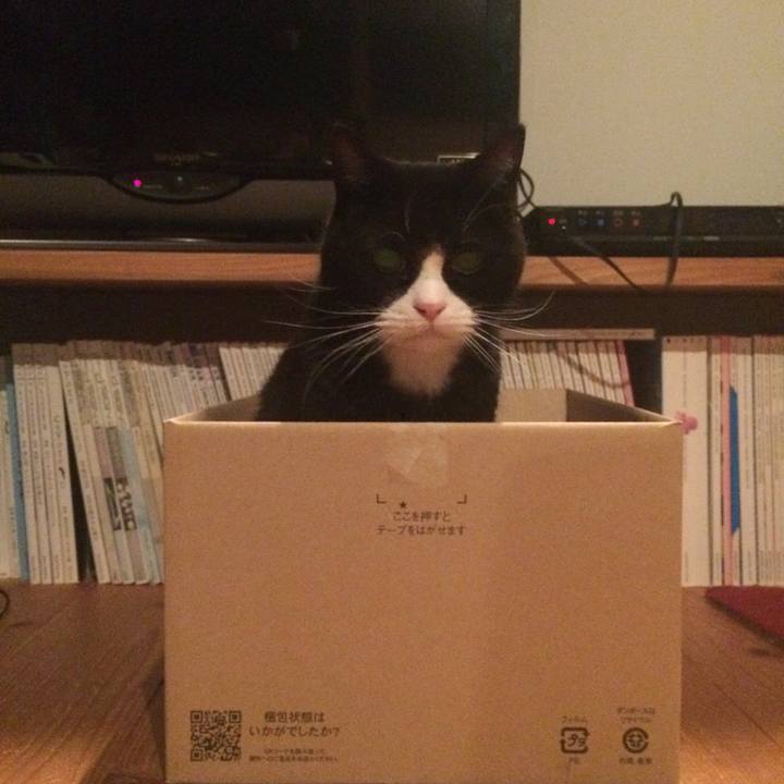 02b5784d 8b7d 4a6d 93e6 c6158d607171 1521467565533