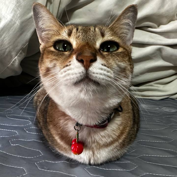 02b578ef fa3f 4ed9 9e6f dbd7433240e2 1768531253058