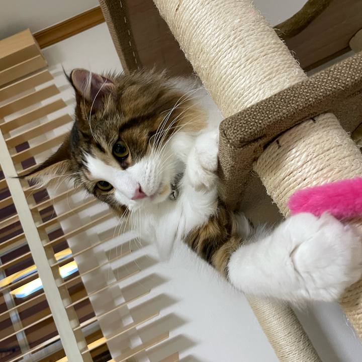 02b57f70 9347 405a 8050 4d387c888a71 1641818111822