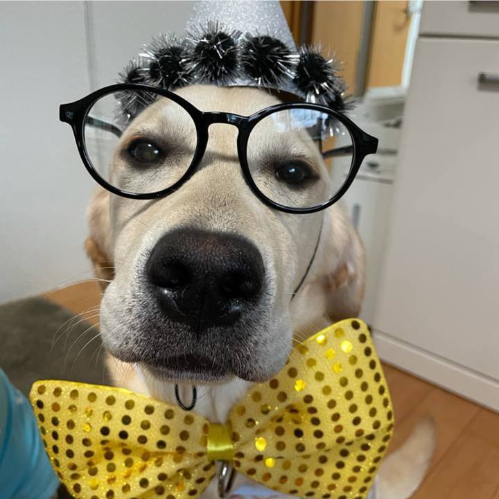 02b5d540 fab6 4a50 80f4 ab6c85c0ee81 1653480486723