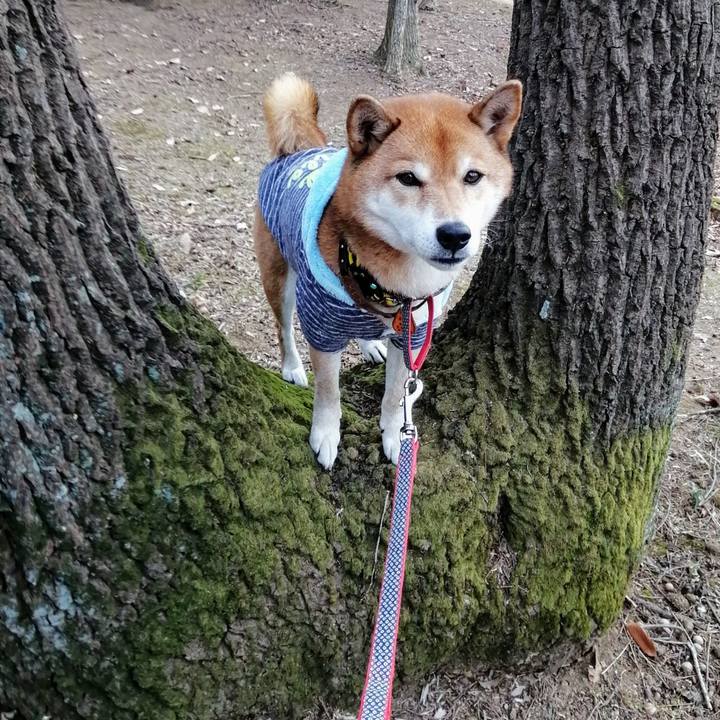 02b5dd01 5776 4125 953e 7e55aef806b5 1609829561162