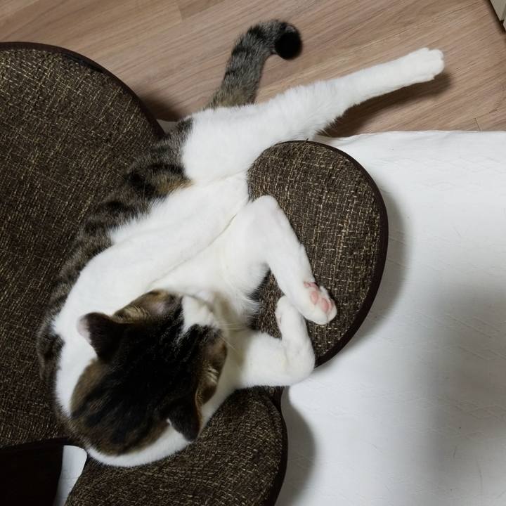 02b5e87a d72a 4e53 9925 8f094290900d 1568896940598