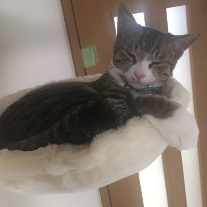 02b5fabc c5bc 4725 a000 815a59a50b45 1664871016259