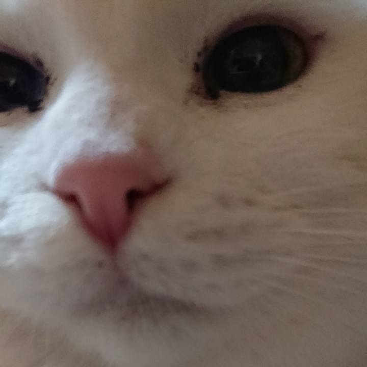 02b64968 2e1c 445d b9fb 6d05533a74e7 1513338121571