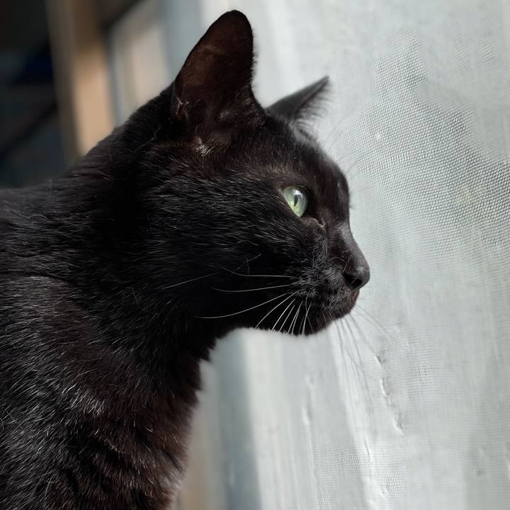 02b66e4c 848f 4a5f 90f3 51ed3aa59510 1632102883472