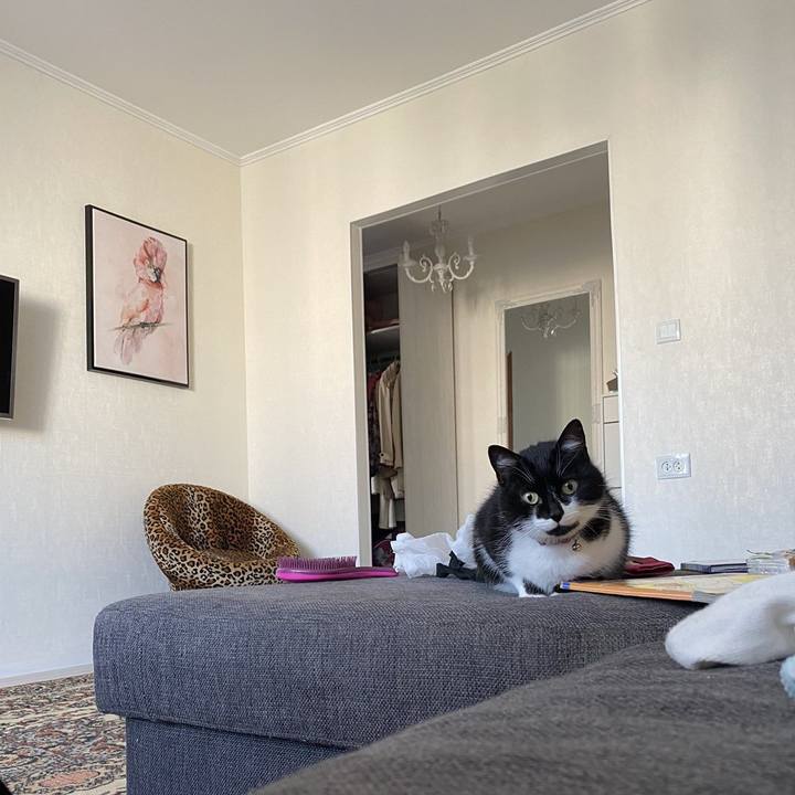 02b69d0f f11b 4a58 96d2 2be56bafc671 1600927361505