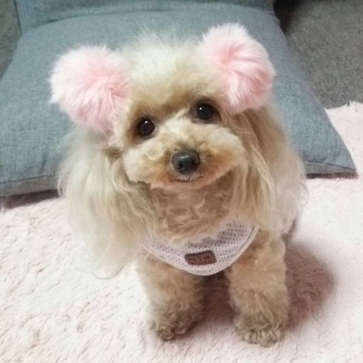 02b6b9d4 3a6c 4478 b352 65b10747cc61 1562367227722