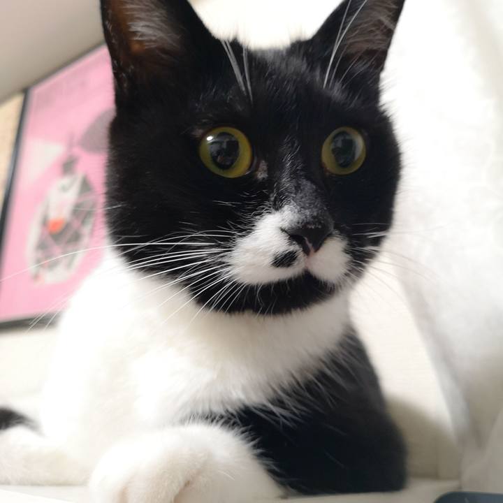 02b6c70c b5d6 4605 9d22 1efcc9ce873a 1563722448645